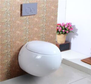 Казанче за вграждане Видима/Ideal Standard с висяща тоалетна EGG