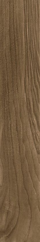 Гранитогрес 15x90 Tayga Brown